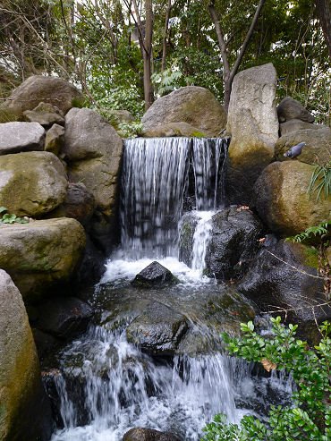 🌳 물을 즐기는 동산(라쿠스이엔) 이미지 5